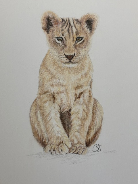 Lion Cub